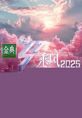 乘风2025海报